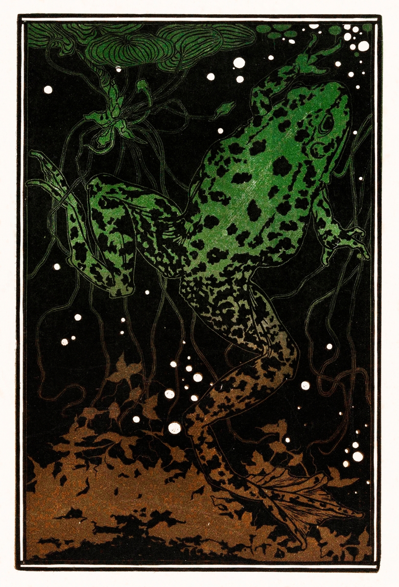 Julie de Graag's woodcut of a swimming frog, stylized in black and white